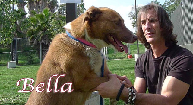 bella