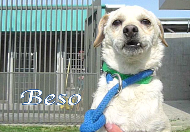 beso