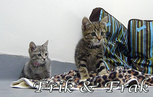 frik+frak