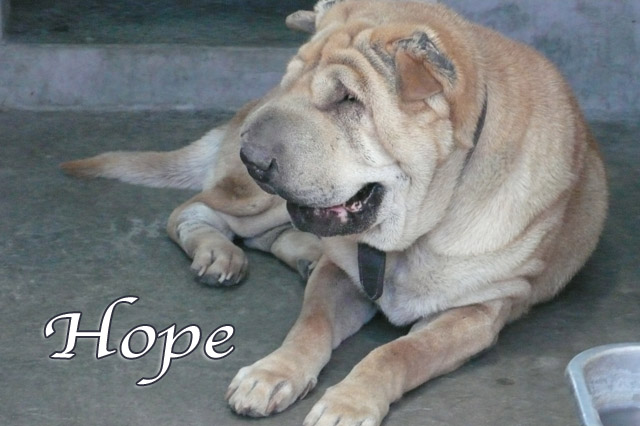 hope