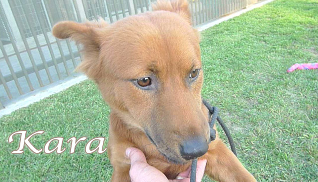 kara