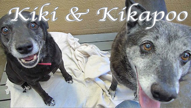 kiki+kikapoo