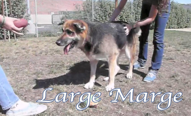 large marge 1