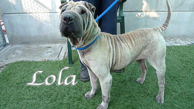 lola