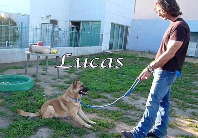 lucas