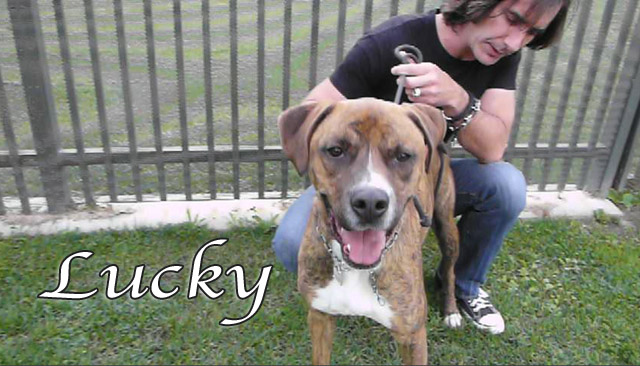 lucky