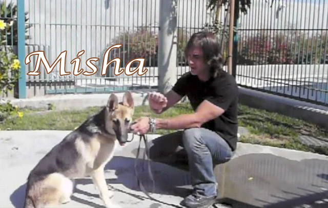 misha