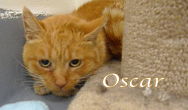 oscar