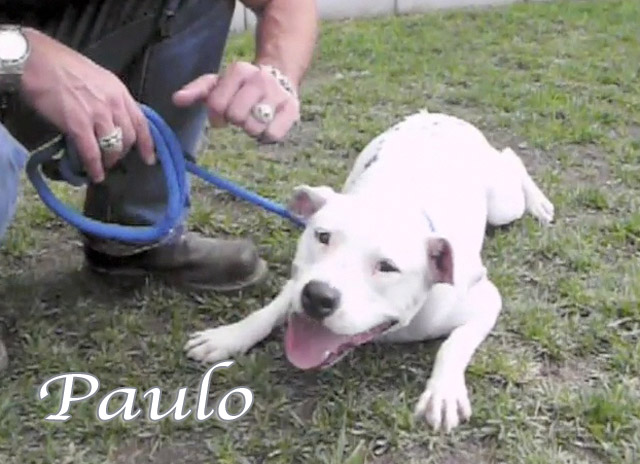 paulo
