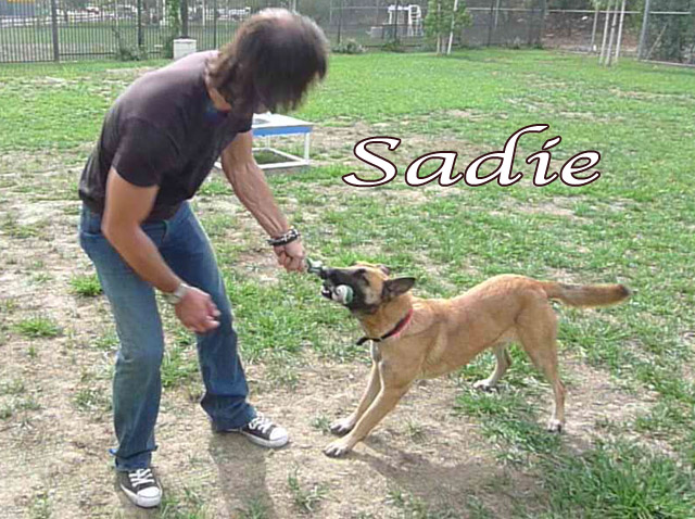 sadie