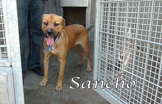 sancho
