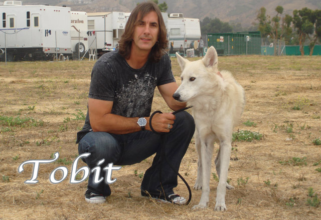 tobit wolf