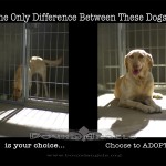 difference