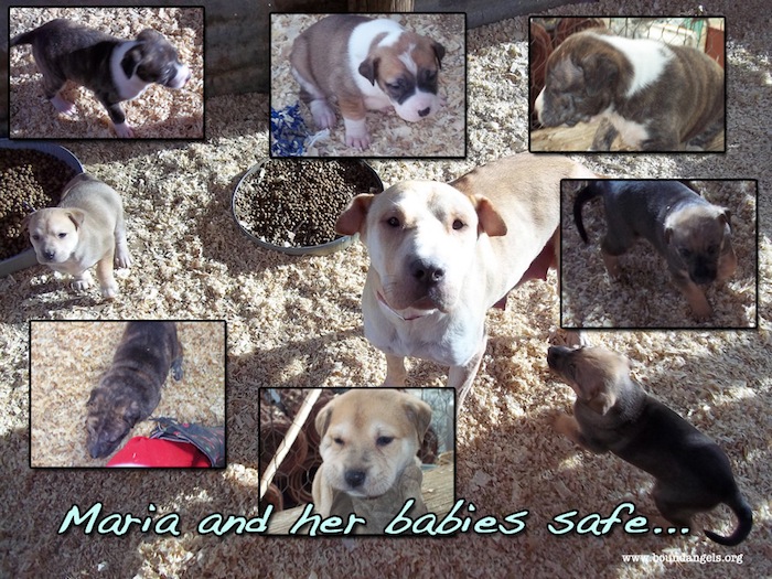 maria and her babies