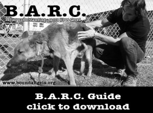 download the B.A.R.C. guide